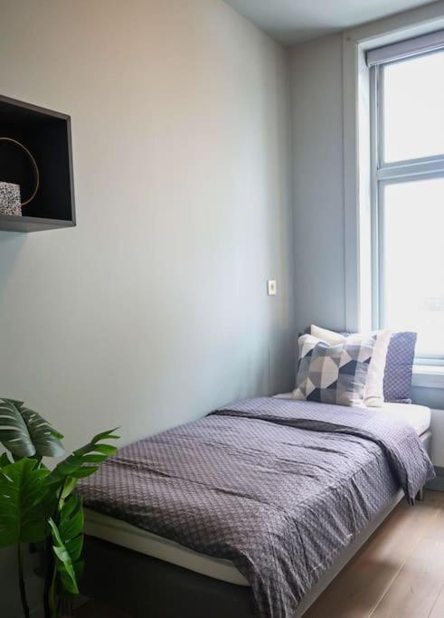 Apartment Elegant In The Middle Of
